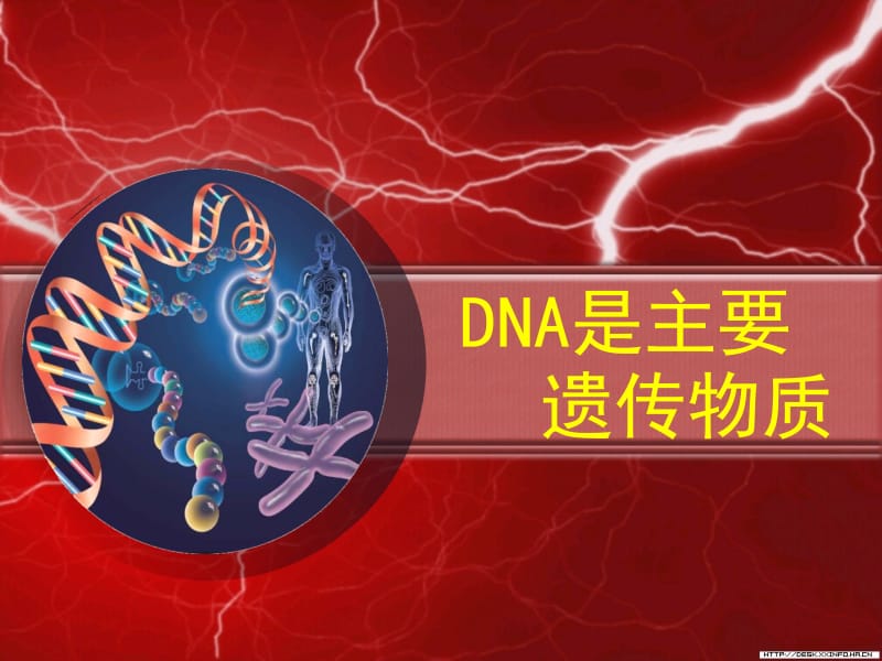 3.1《DNA是主要的遗传物质》课件6.ppt_第1页