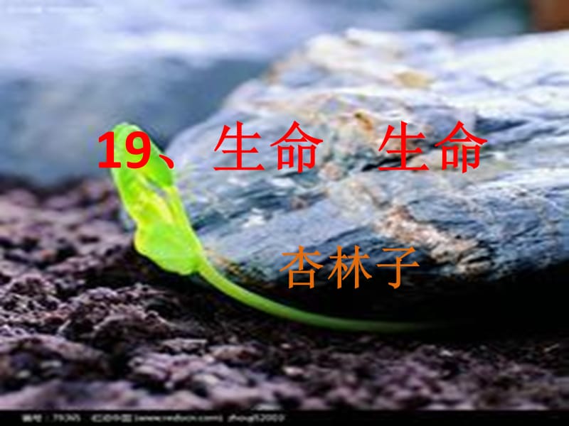 2019年课件（生命生命）精品教育.ppt_第1页