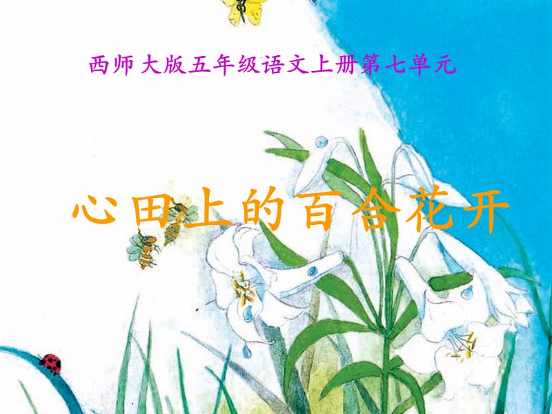 2019年西师大版五年级上册《心田上的百合花》PPT课件之精品教育.ppt_第1页