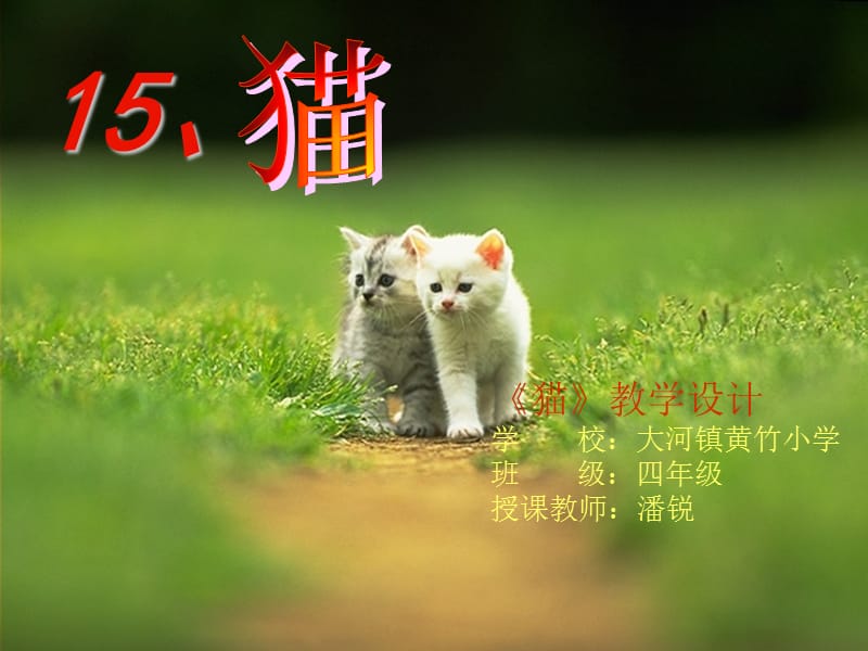 2019年黄竹四年级语文上册15.猫精品教育.ppt_第1页