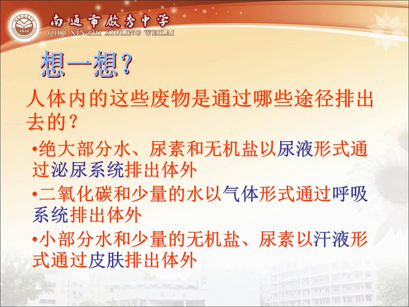 2019年排泄：人体内废物的排出精品教育.ppt_第3页