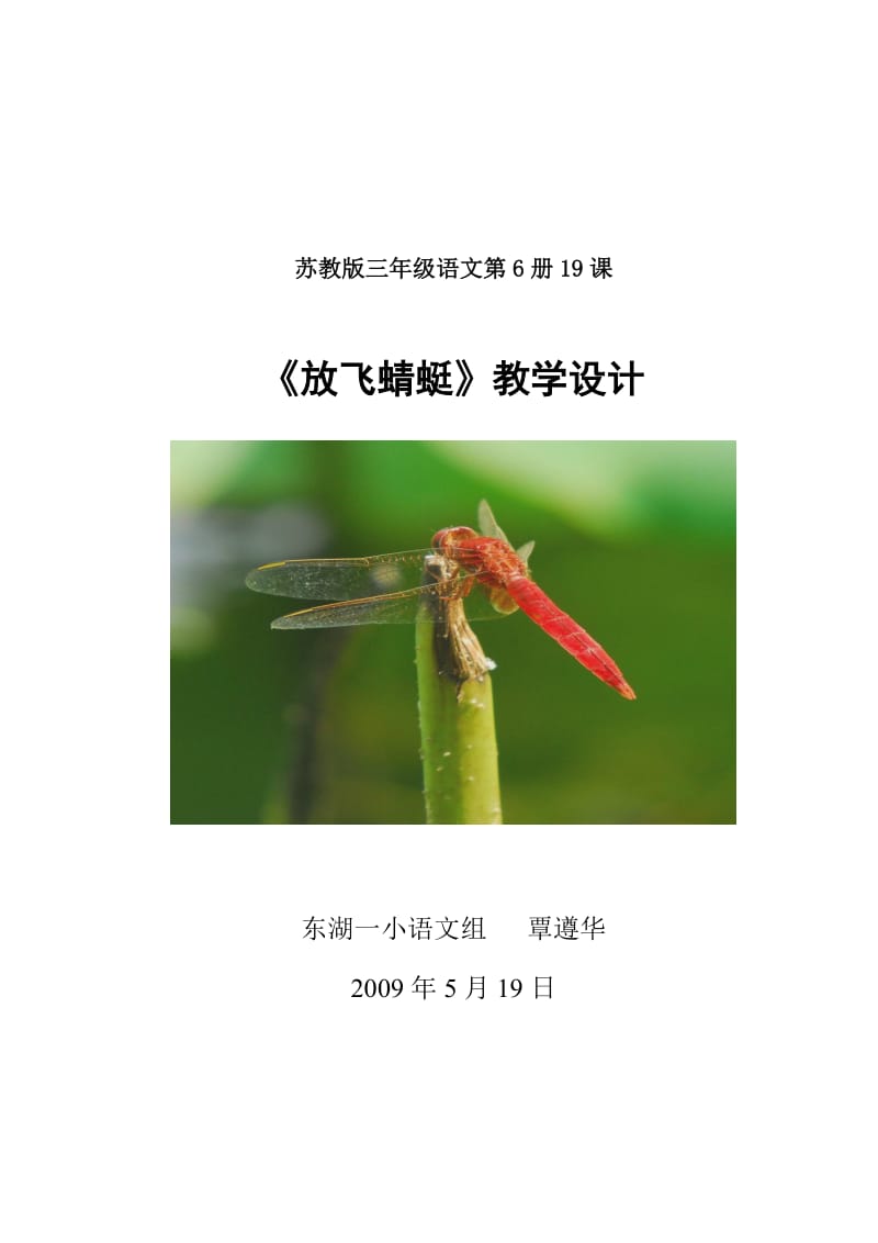 2019年放飞蜻蜓教案精品教育.doc_第1页