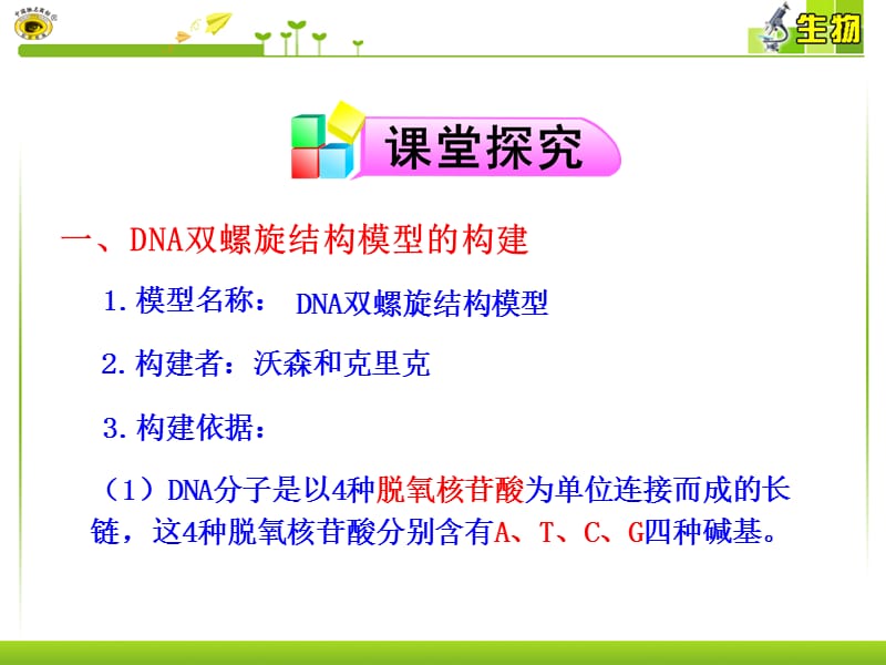 3.2《DNA分子的结构》课件4.ppt_第3页