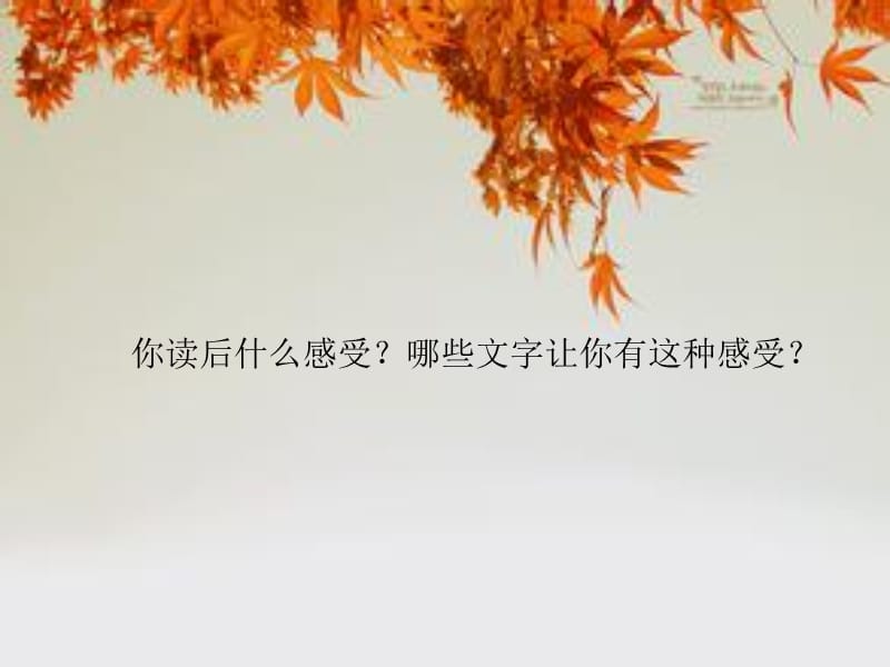 2019年秋天的怀念.ppt2.ppt精品教育.ppt_第3页