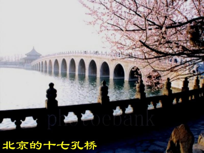 19《赵州桥》ppt课件4.ppt_第2页