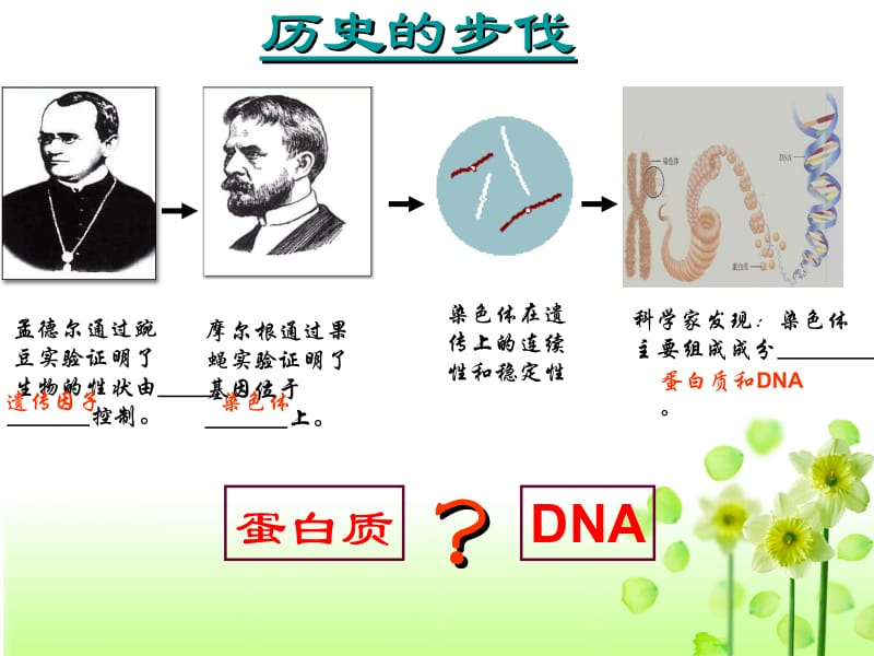 人教版必修二第三章第一节DNA是主要的遗传物质（共34张PPT）.ppt_第2页