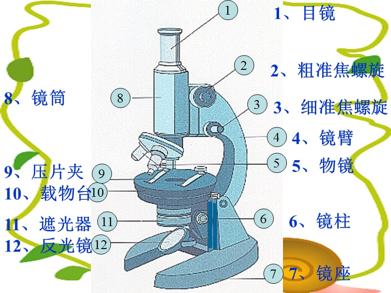 2019年练习使用显微镜精品教育.ppt_第3页