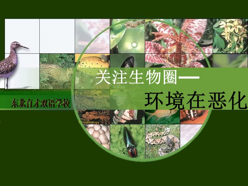 2019年生物：13.1《关注生物圈—环境在恶化》课件（苏教版七下）精品教育.ppt_第2页