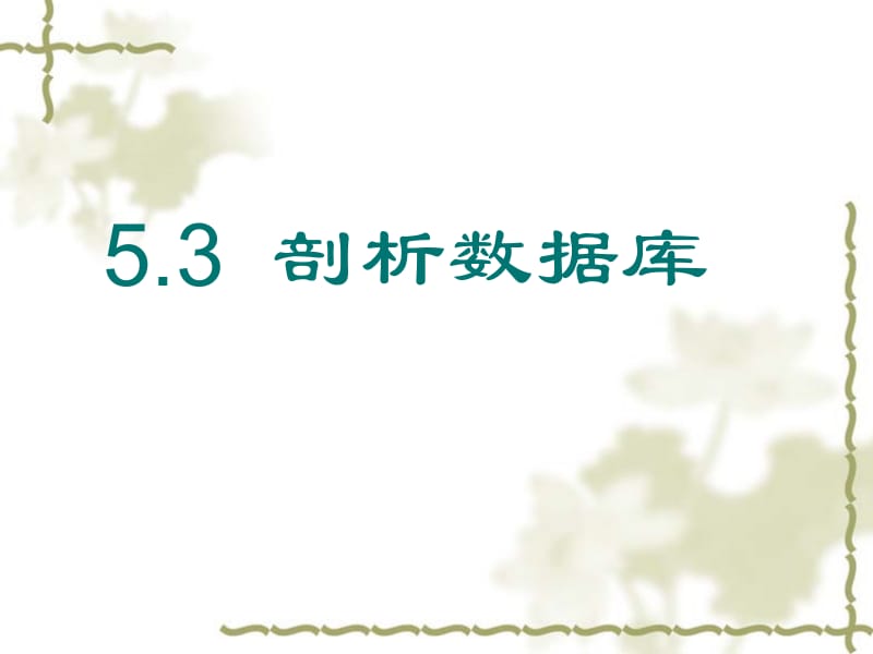 5.3_剖析数据库高中课件.ppt_第1页