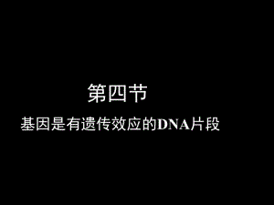 3.4《基因是有遗传效应的DNA片段》课件钟永东.ppt