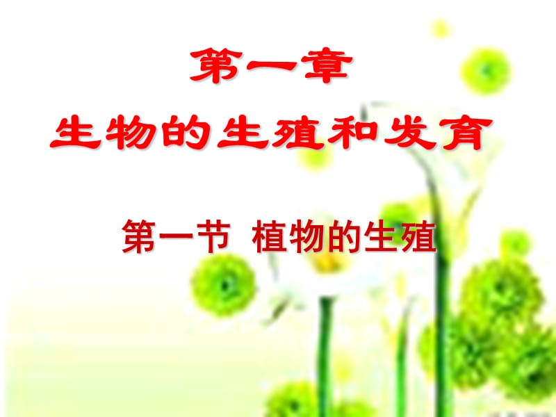 第一节 植物的生殖.ppt_第2页