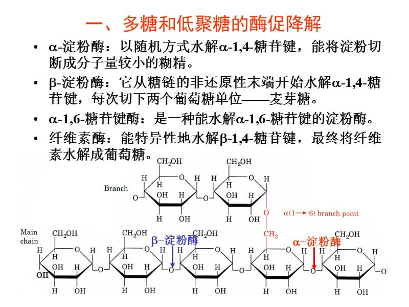 第8章糖代谢-1.ppt_第3页