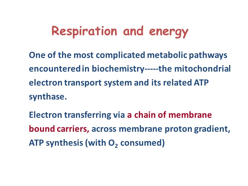 8电子传递与氧化磷酸化.ppt_第2页