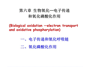 8电子传递与氧化磷酸化.ppt