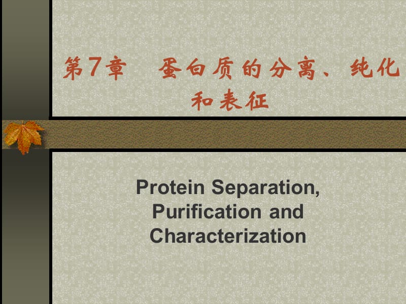 第7章蛋白质的分离、纯化和表征.ppt_第1页
