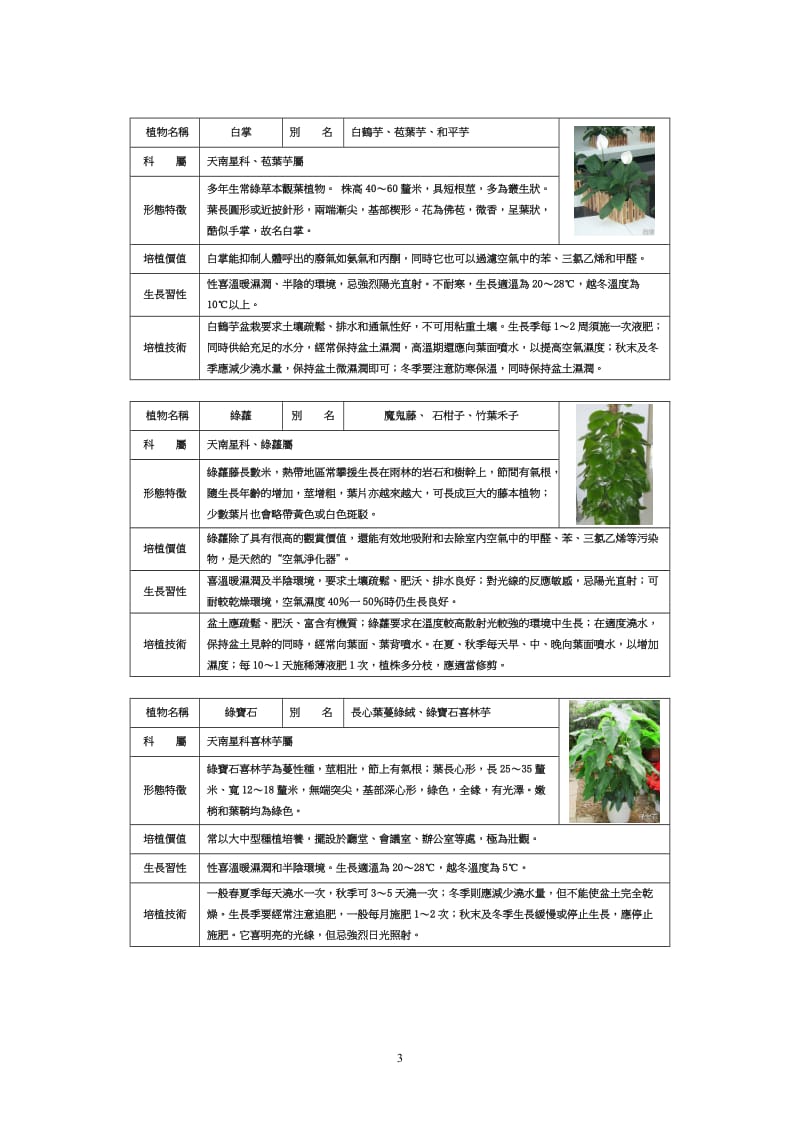 观叶植物图鉴.doc_第3页