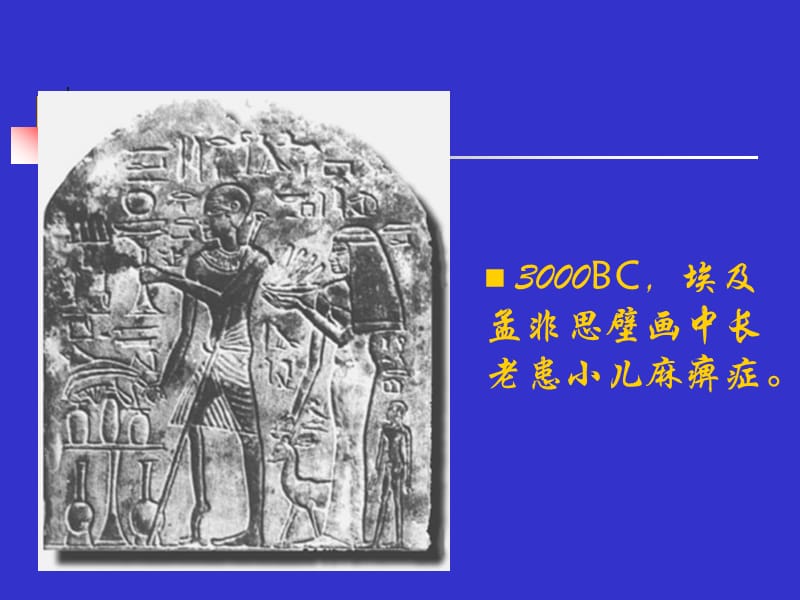 病毒学.ppt_第2页