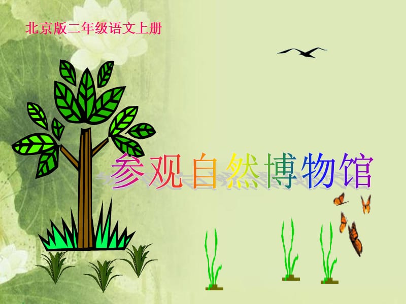 《参观自然博物馆》课件北京版二年级语文上册课件.ppt_第1页