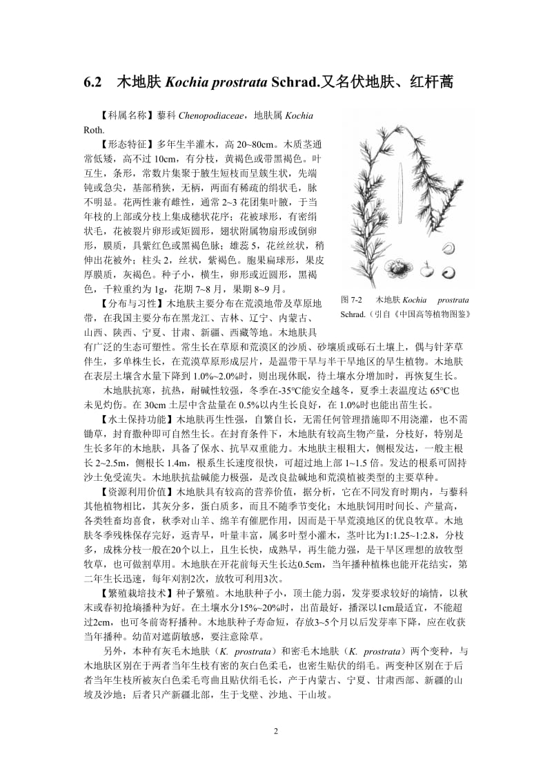 常见草本植物.doc_第2页
