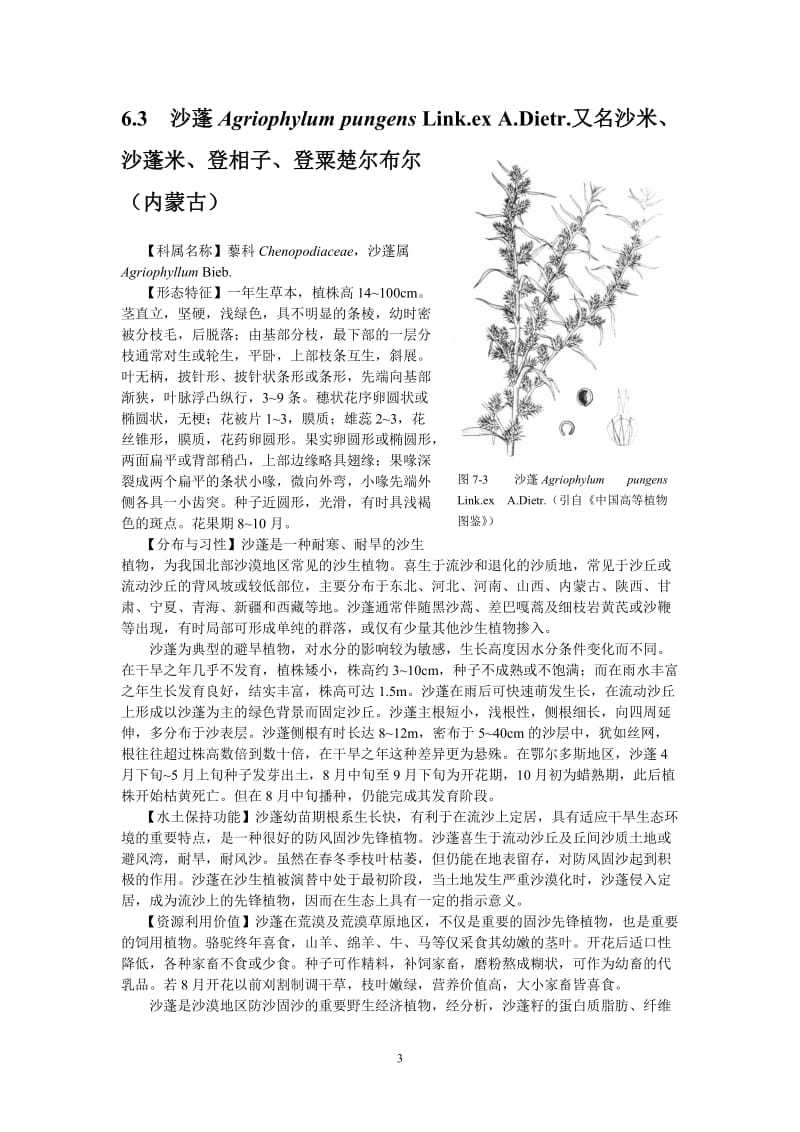 常见草本植物.doc_第3页