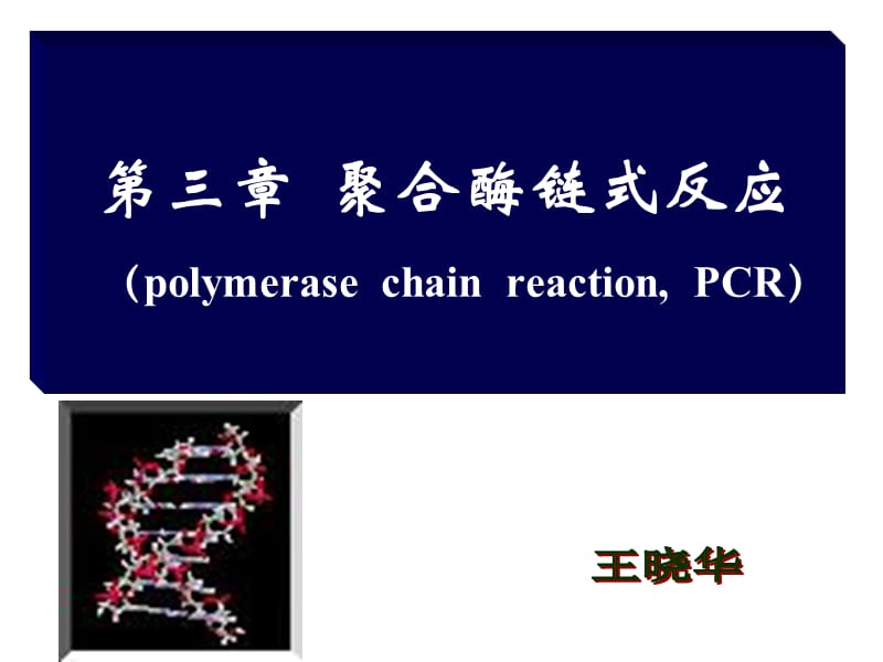 聚合酶链式反应-2011分子生物学.ppt_第1页