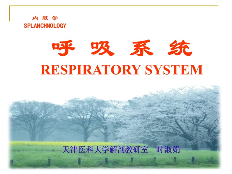 第06章呼吸系统.ppt_第1页