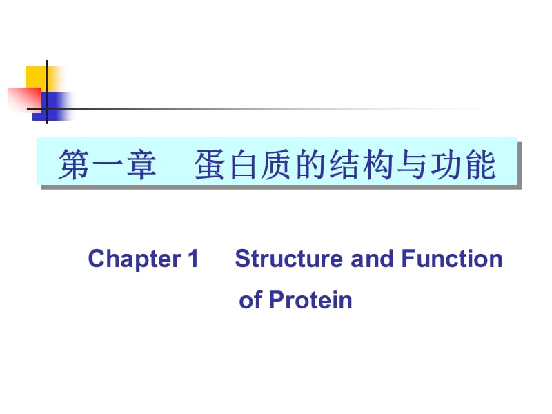第01章蛋白质化学.ppt_第3页