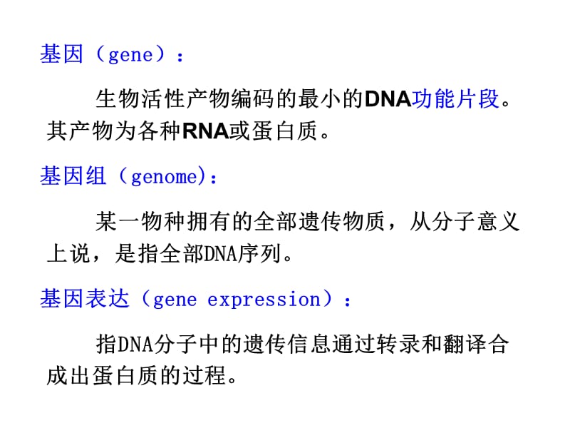 第14章DNA的生物合成.ppt_第3页