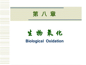 第08章生物氧化.ppt