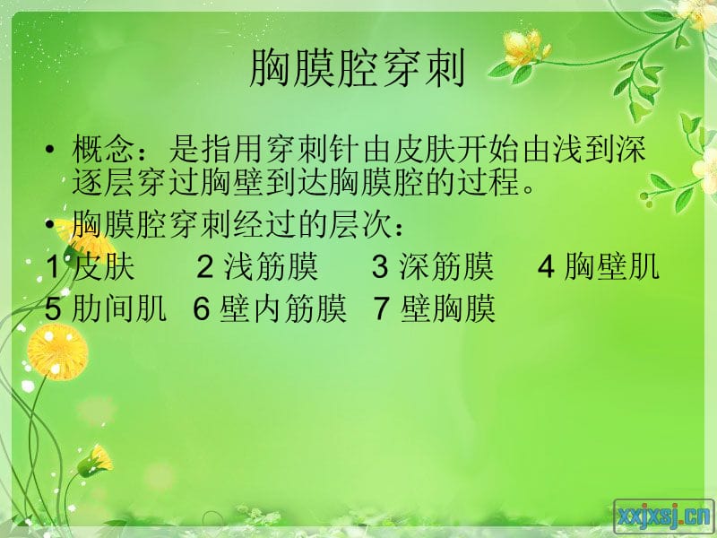 胸膜腔心包腔腹膜.ppt_第3页