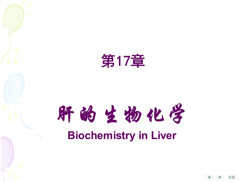 第17章肝的生物化学.pps_第1页