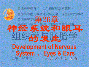 脑神经系统-神经系统和眼耳的发生.ppt