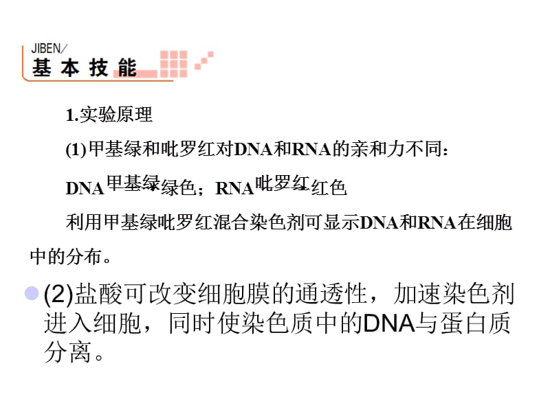 观察DNA和RNA在细胞中的分布.ppt_第2页