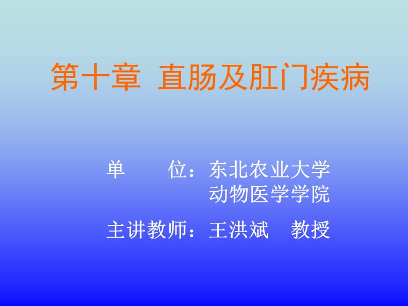 第10章直肠及肛门疾病.ppt_第1页