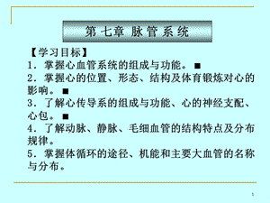 第4章脉管系统.ppt