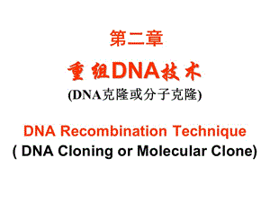 重组DNA技术-2011-04-13.ppt