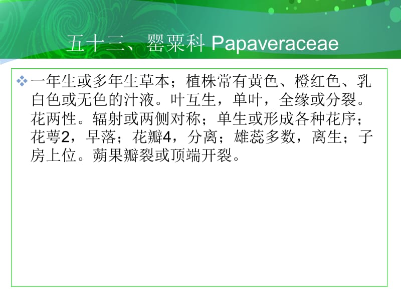 五十三罂粟科Papaveraceae.ppt_第1页