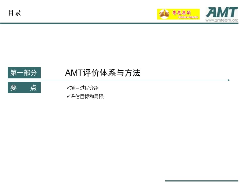 鲁花分销系统评估AMT公司.ppt_第3页