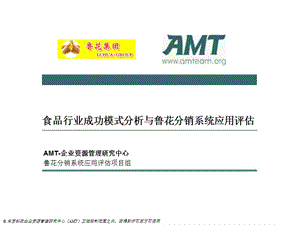 鲁花分销系统评估AMT公司.ppt