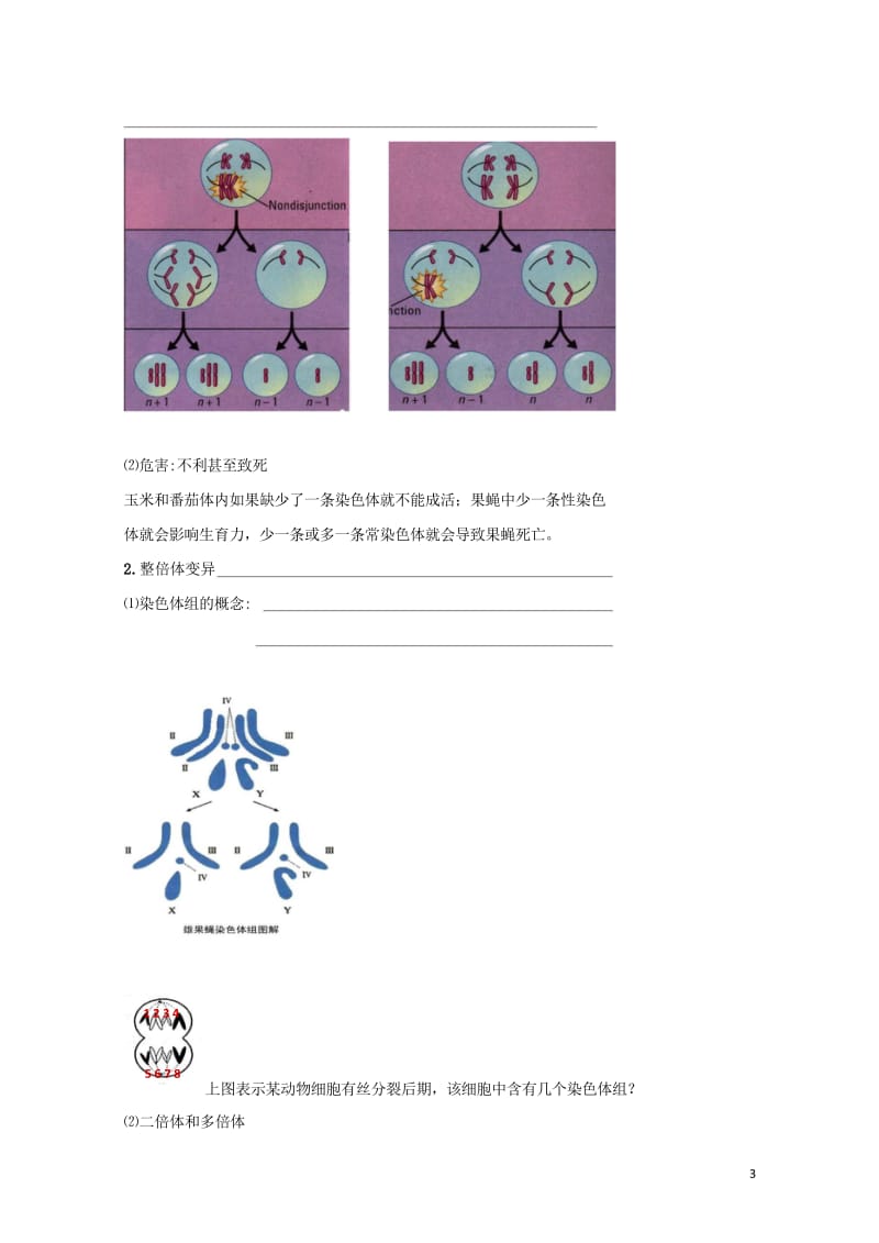 北京市第四中学2017届高考生物专题复习2染色体变异学案20170817162.wps_第3页