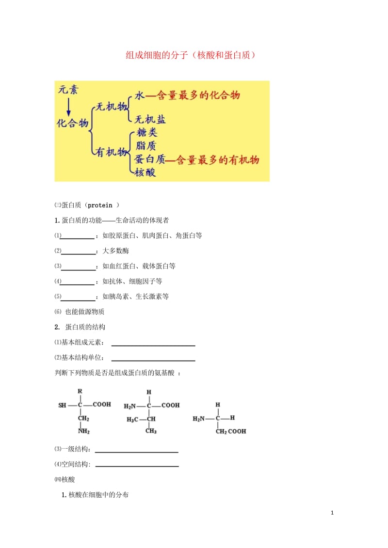 北京市第四中学2017届高考生物专题复习3组成细胞的分子核酸和蛋白质学案20170817168.wps_第1页