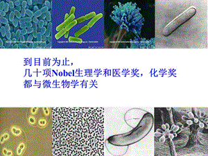 微生物的实验室培养(2014上课).ppt