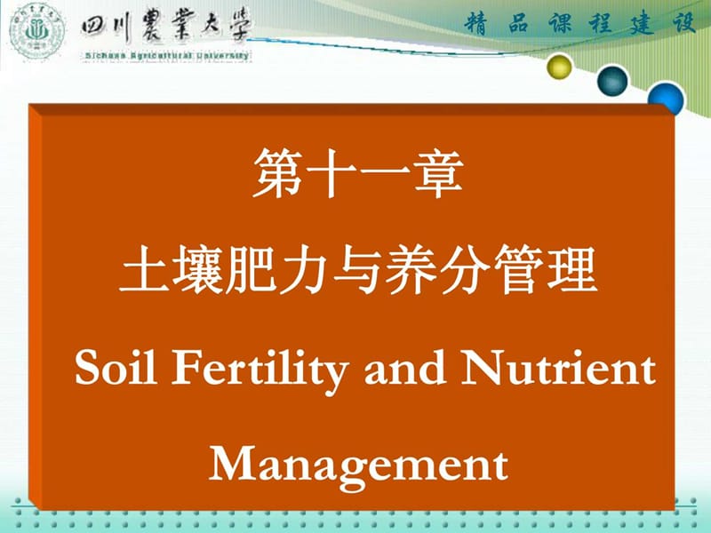 土壤肥力与养分管理.ppt_第1页