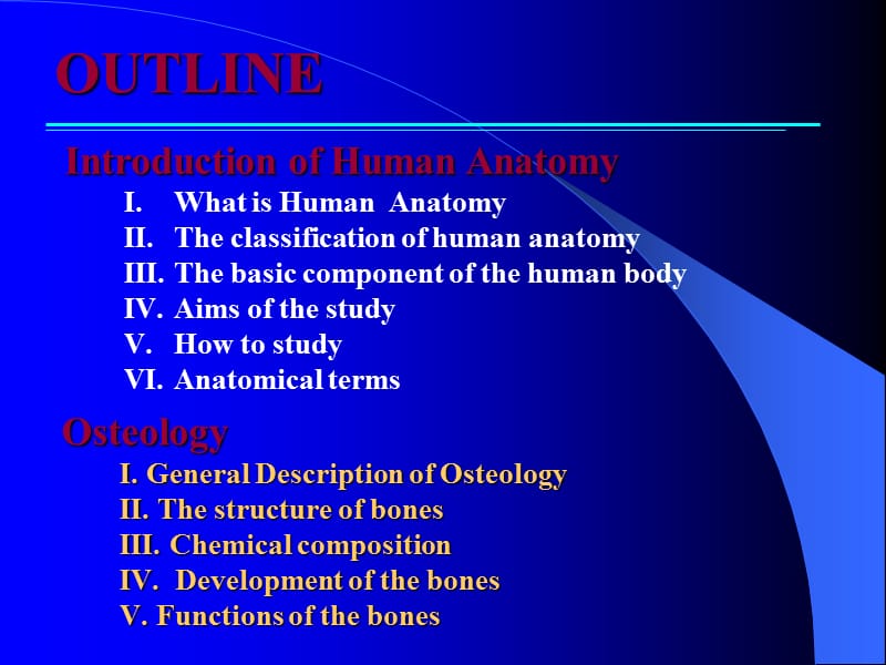 系统解剖学绪论骨学.ppt_第3页