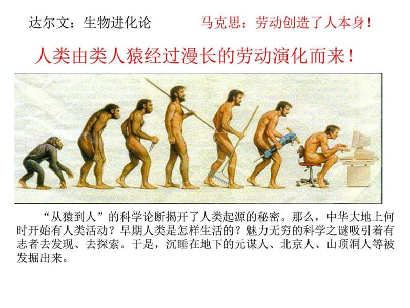 年级历史上册第1课中国早期人类的代表—北京人(共.ppt_第2页