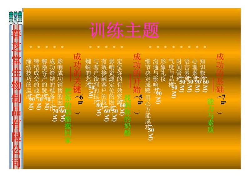 锤炼精英——春芝堂营销代表提升训练.ppt_第2页