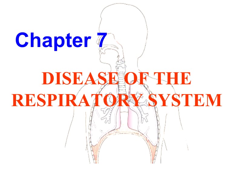 《呼吸系统疾病》PPT课件.ppt_第1页