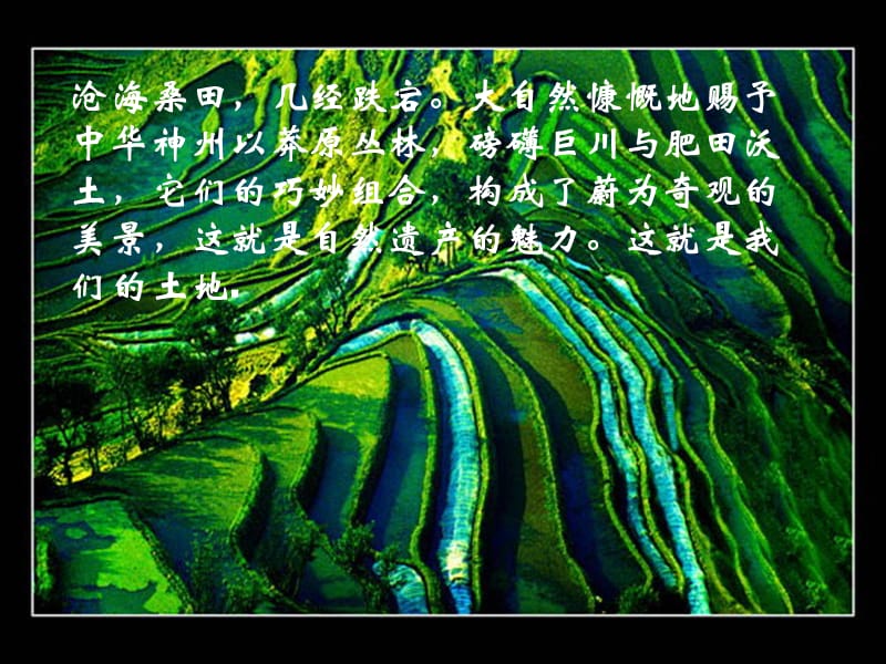 中国古代土地制度的基本形态.ppt_第2页