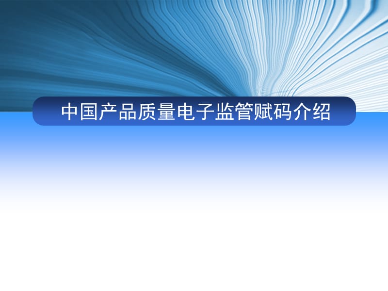 中国产品质量电子监管网赋码方案 - 中国商品质量追溯网.ppt_第1页