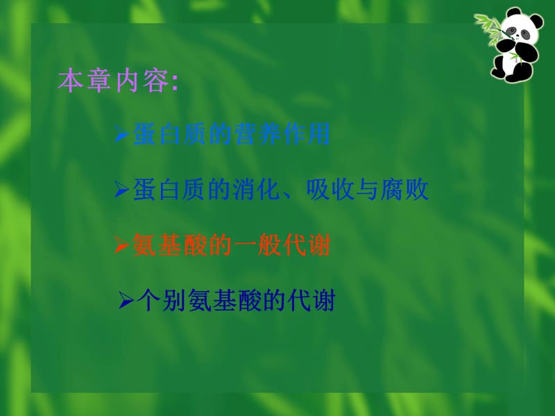 十章 氨基酸代谢.ppt_第2页